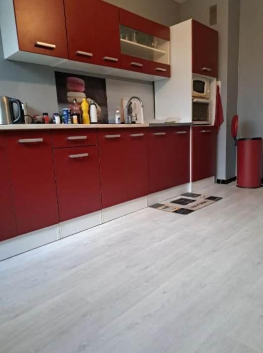 Magnifique Appartement Plein Sud 60 M Carre ليموج المظهر الخارجي الصورة